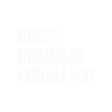 brics business incubator